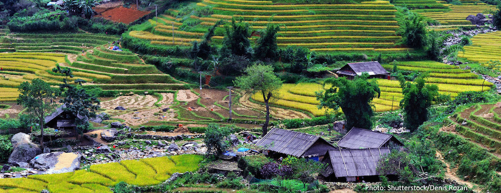 Vietnam landscape photo, source Shutterstock/Denis Rozan