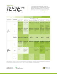 Screenshot of SAR Backscatter & Forest Type PDF