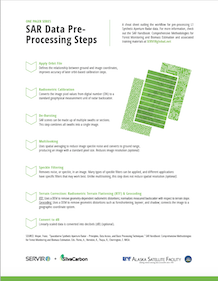 Screenshot of SAR Data Processing Steps PDF
