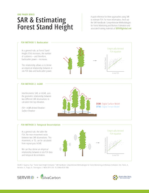 Screenshot of SAR & Estimating Forest Stand Height PDF