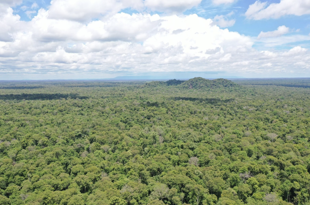 ADPC aerial photo of forests