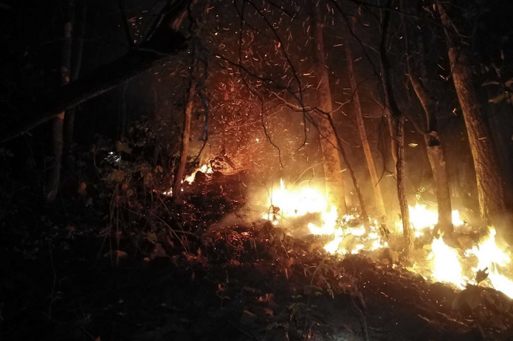 Image of recent forest fires in Chiang Rai province, image credit Forest Fire Control, Protected Areas Regional Office 15