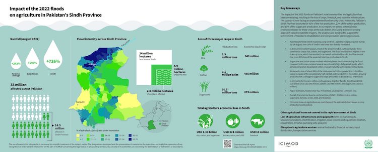 infographic showing the impact of the 2022 floods in Pakistan
