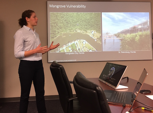 Liza Goldberg gives presentation on mangrove platform to SCO and others at the NSSTC