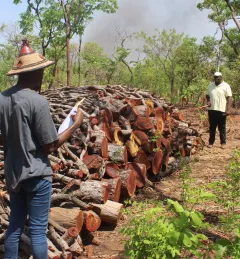 A man in Ghana works at a charcoal production place
