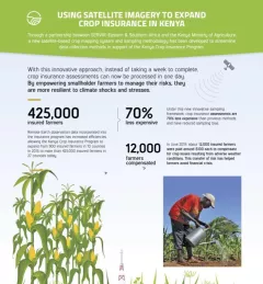 Infographic: Using Satellite Imagery for Crop Insurance in Kenya