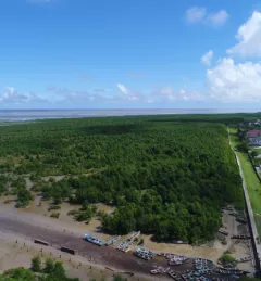 Mangrove forests form a natural seawall protecting neighborhoods of Georgetown, Guyana’s capital city. Credit: SERVIR Amazonia
