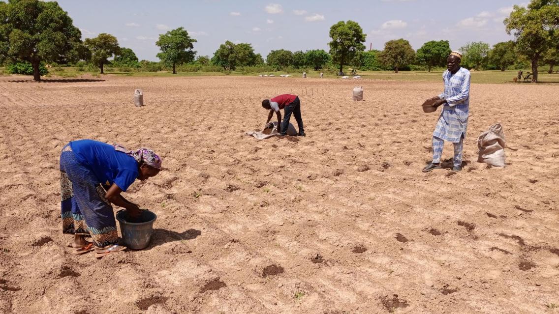 farmers in a field in Burkina Faso