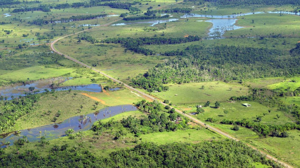 An aerial photograph of a deforested section of the Amazon rainforest. Photo credit: International Centre for Tropical Agriculture – CIAT